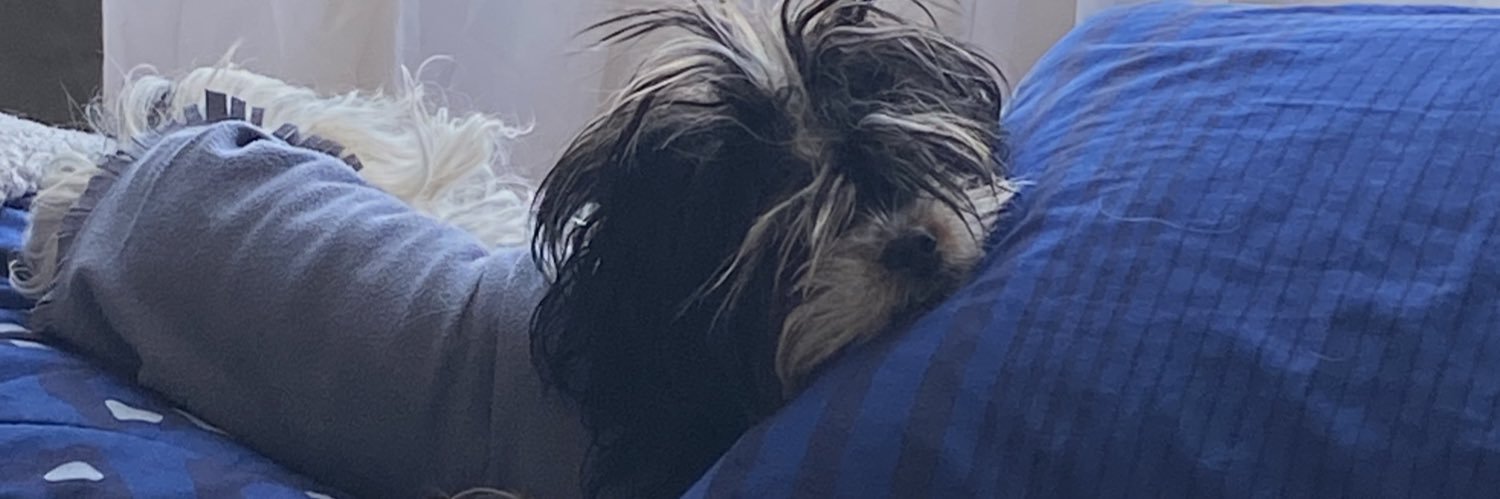 Mely_Enf's profile banner image