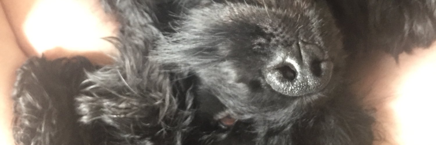 Bloutre's profile banner image