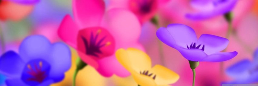 RB banner