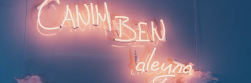 ariiyna's profile banner image