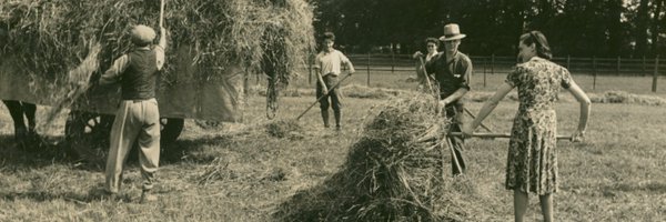 eRA_Curator Profile Banner