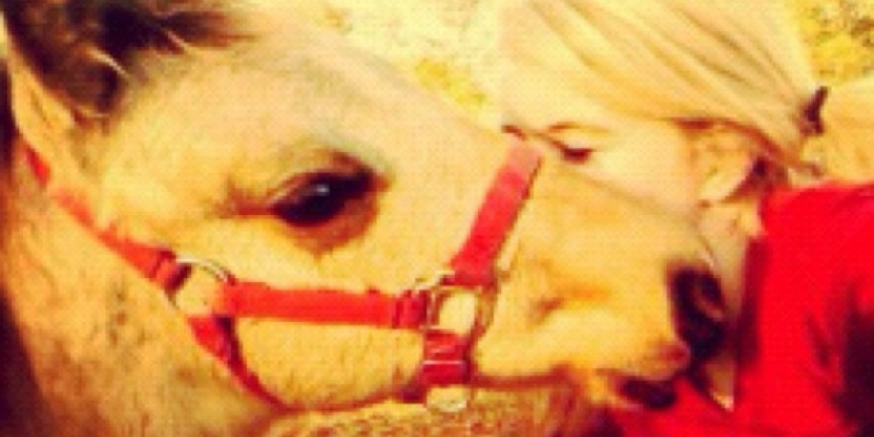 MorganMuttitt's profile banner image