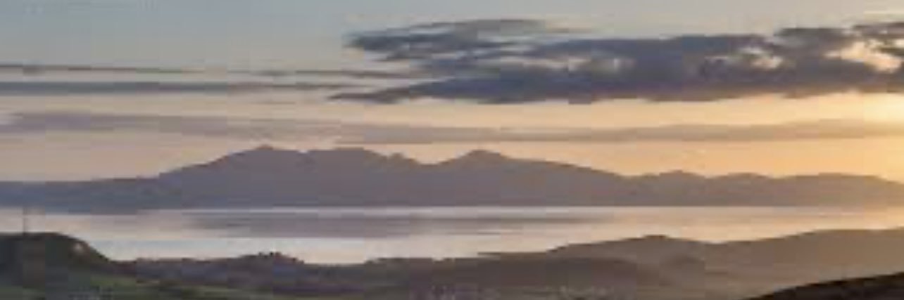 Wee CP 🤔🐇🐈‍⬛🏴󠁧󠁢󠁳󠁣󠁴󠁿 banner