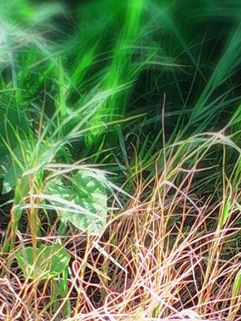 Shayo70's profile banner image