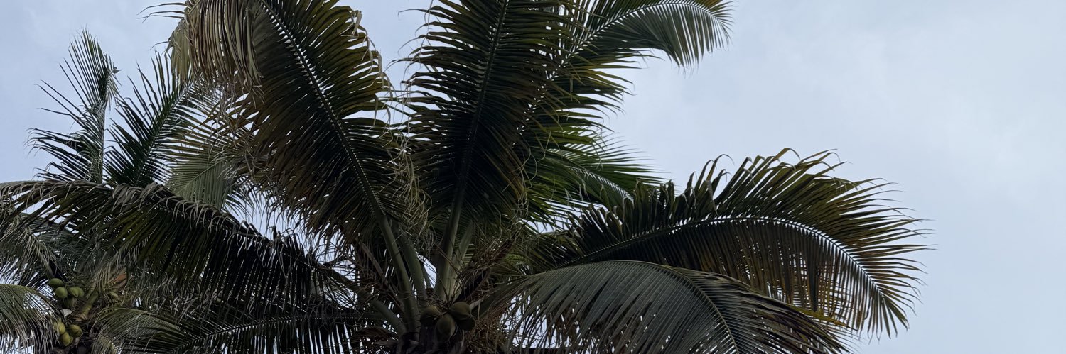 LonderoGisel's profile banner image
