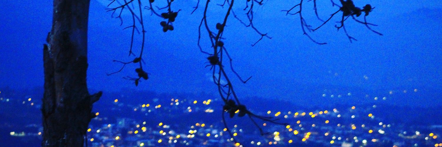 pepex03's profile banner image