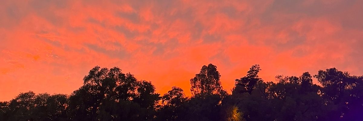 _mbcamila's profile banner image