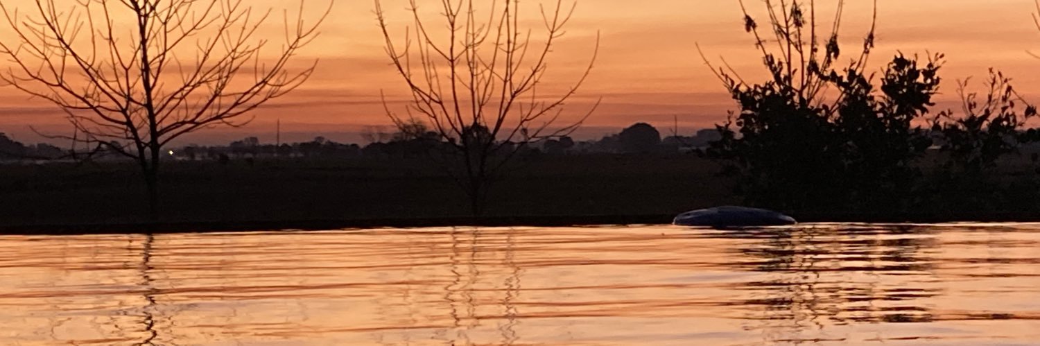 mariaadelaidanu's profile banner image