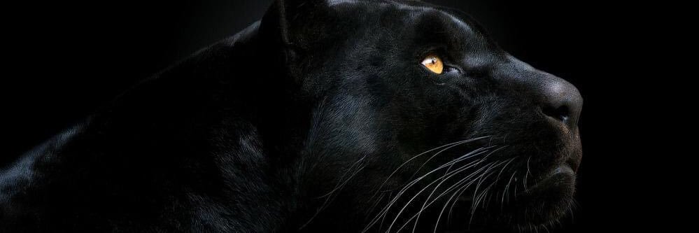 juanjo_7's profile banner image