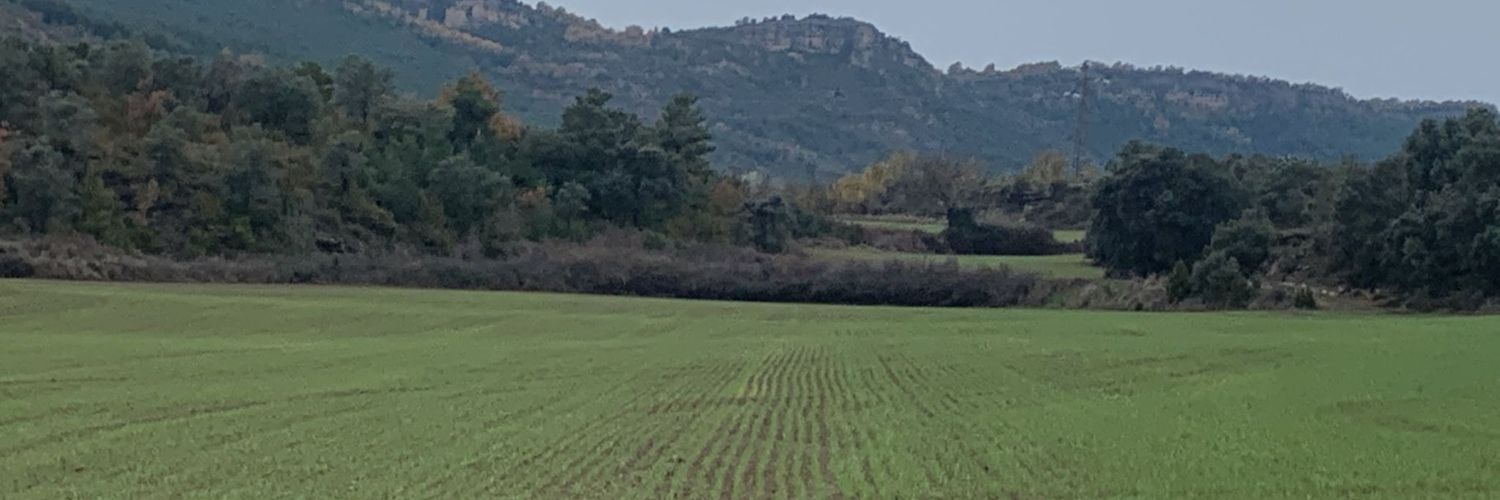 GABRIEL SEVILLANO banner