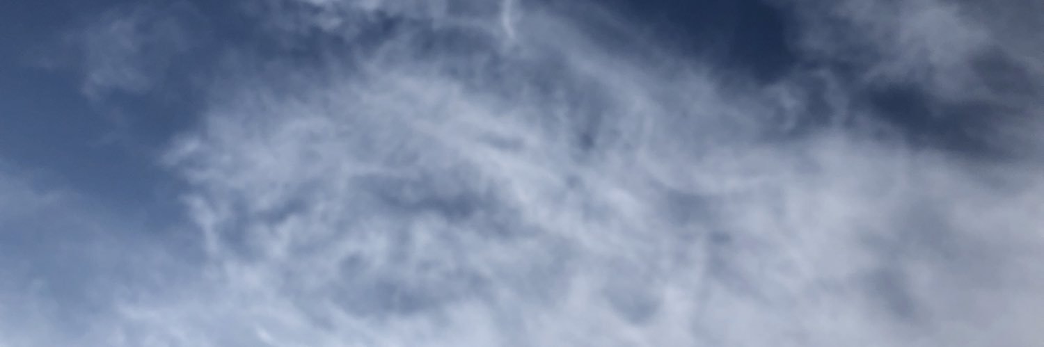 TotalTribes's profile banner image