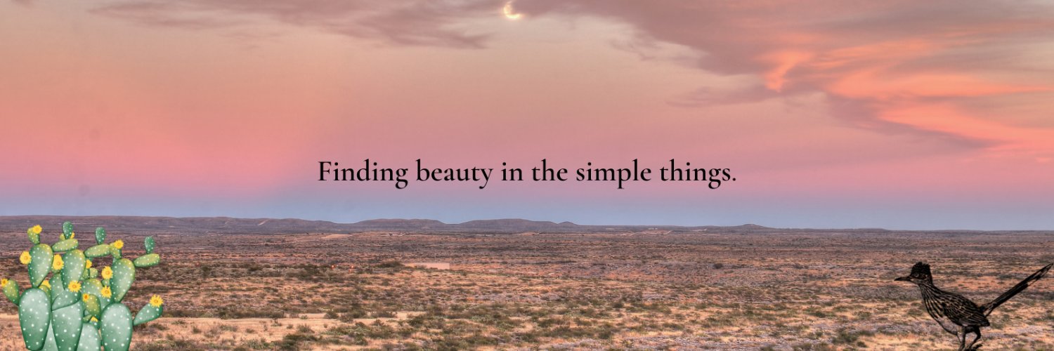 Cheryl Schwiethale banner