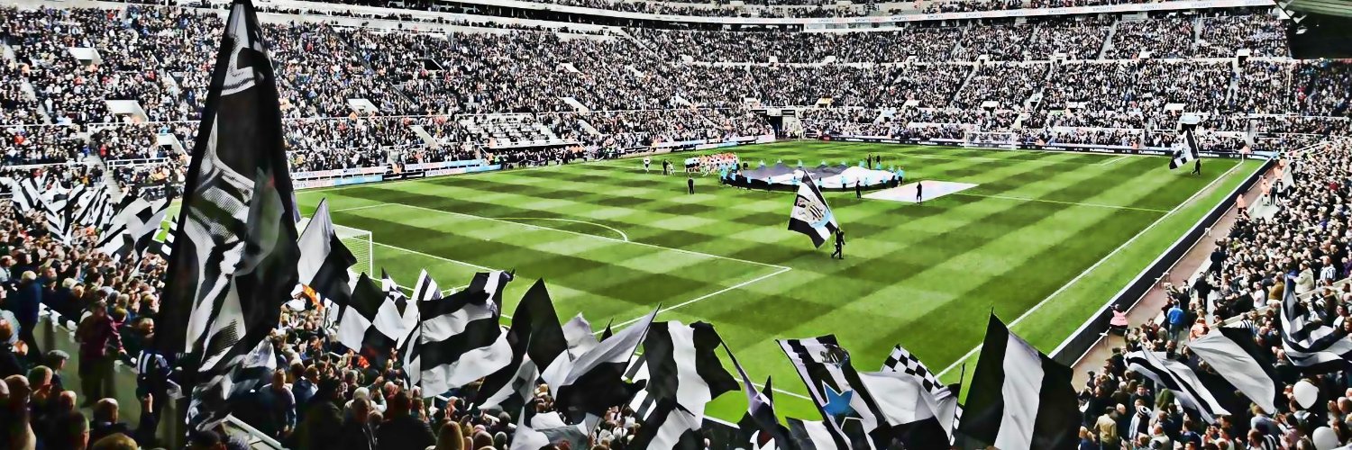 Fengario's profile banner image