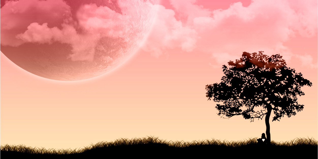 StephLambertz's profile banner image