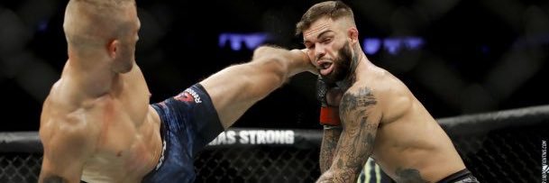 fightoftheday's profile banner image