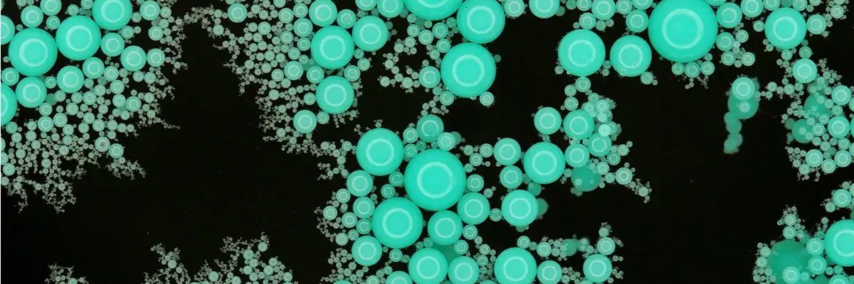 Anna Foix banner