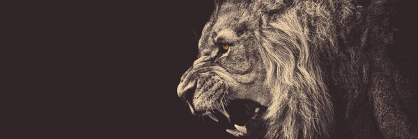 Flare Profile Banner