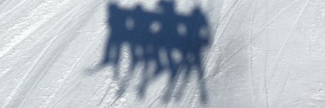 Ms Henry-O'Brien banner