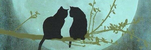 jella73's profile banner image