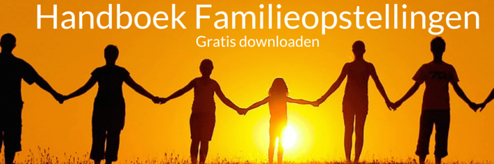 OpstellingenNL's profile banner image