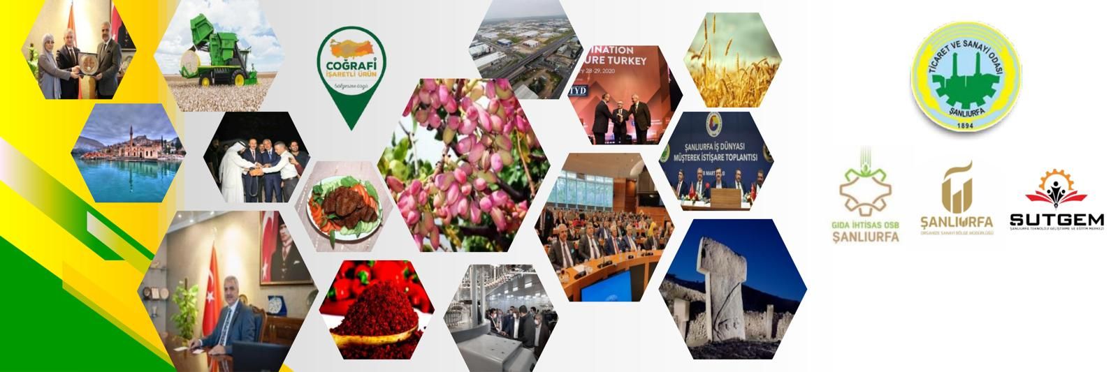 İbrahim Halil PELTEK banner