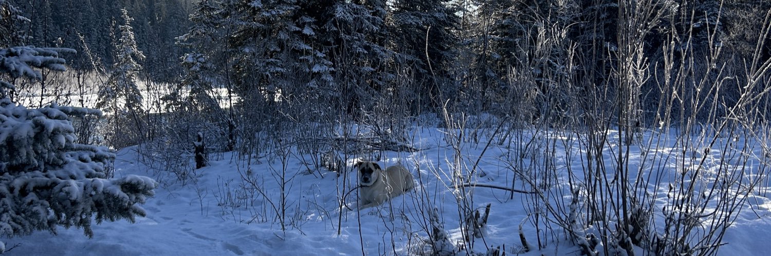 Sabrina Samuel banner