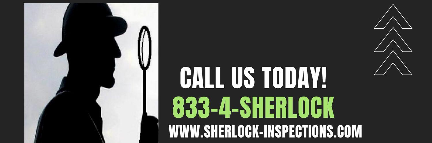 SherlockInspect's profile banner image
