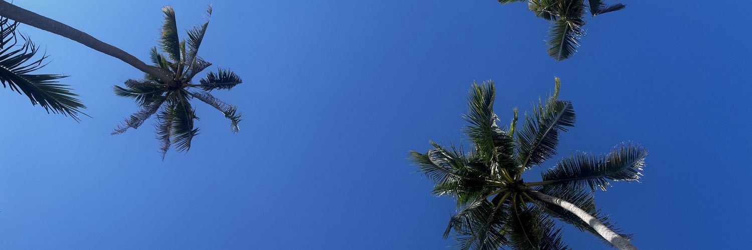 TP | W3GG 🦊 banner