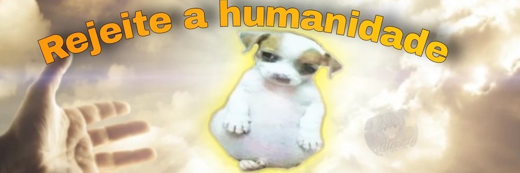 luhnoo's profile banner image