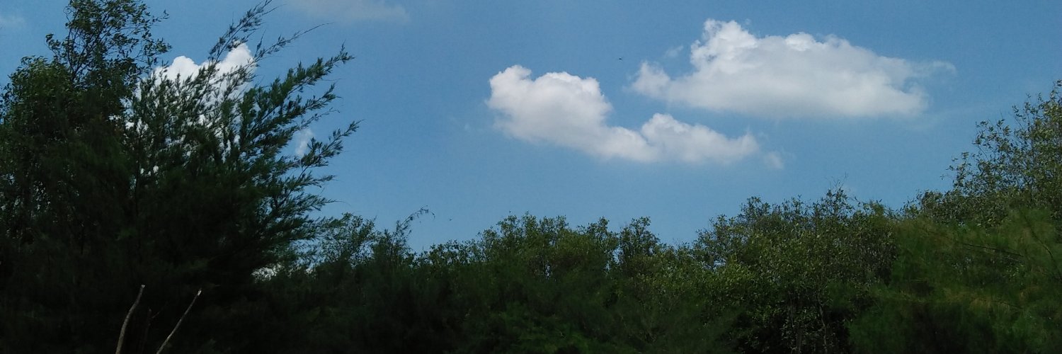 sprnwnt's profile banner image