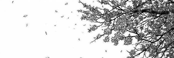 Lawflips's profile banner image