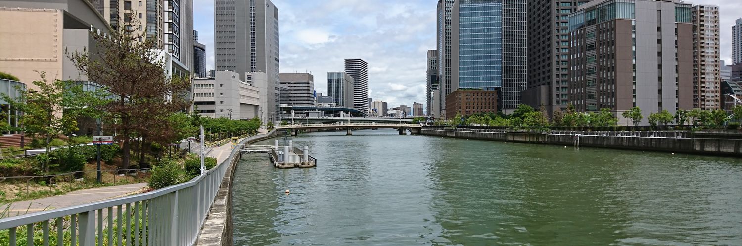 キノピオ2026@流星🦋🌼🌻🌷🌹 banner