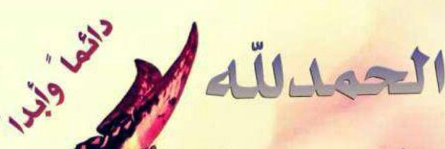هيا الحربي . banner