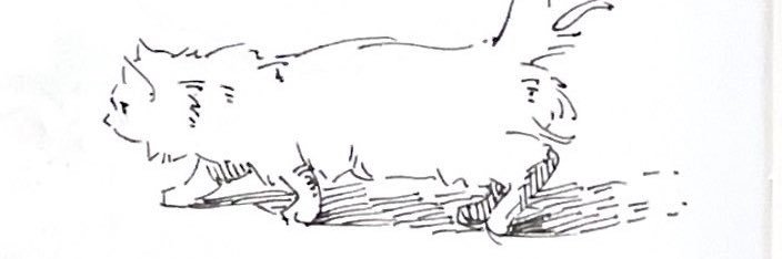 DoodleOMF's profile banner image