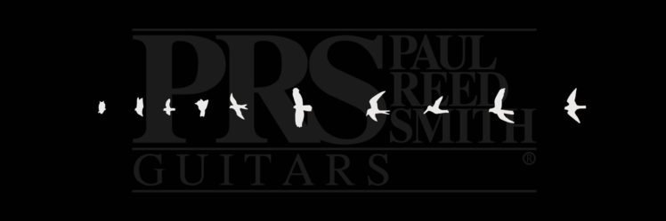 PRScustom24bc's profile banner image
