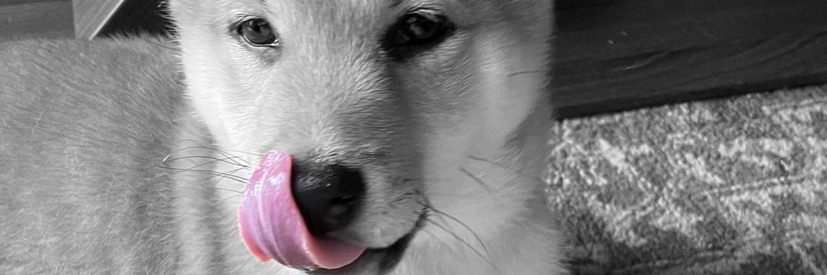 lizzycorks's profile banner image
