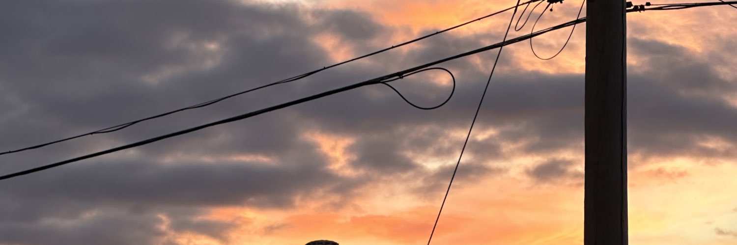 towerymonica's profile banner image