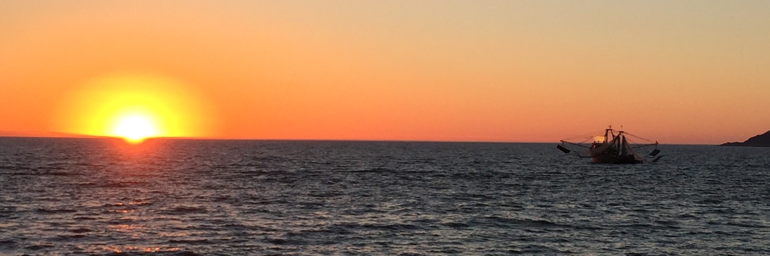 ginaleewrites's profile banner image