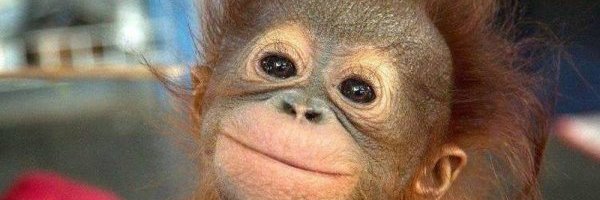 Varoufucker_Trader banner