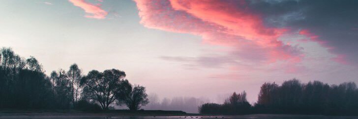 leri_lerchi's profile banner image