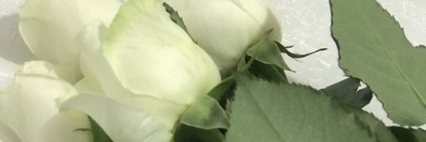 GhalebiSaeede Profile Banner