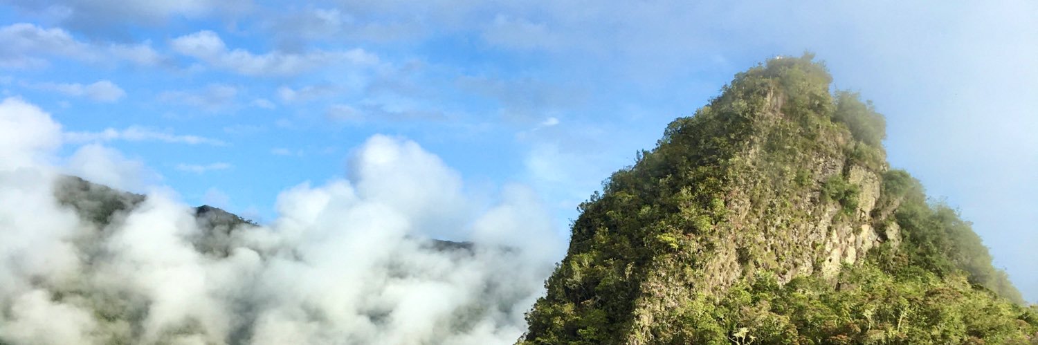 isa_afan's profile banner image