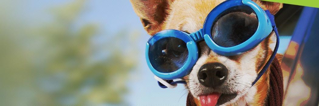 First4Insurance's profile banner image