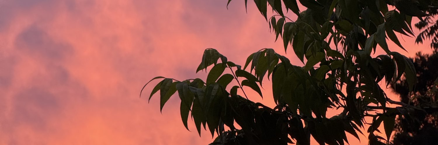 macayluh's profile banner image