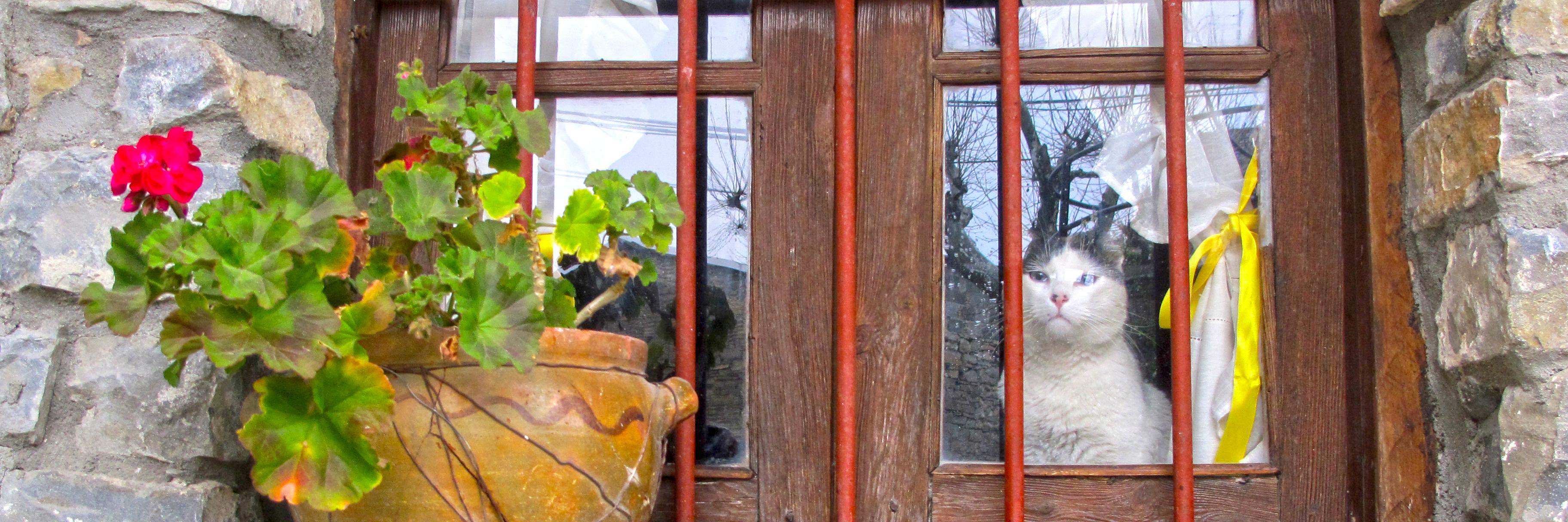 casalanau's profile banner image