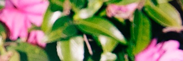 000lee000 Profile Banner