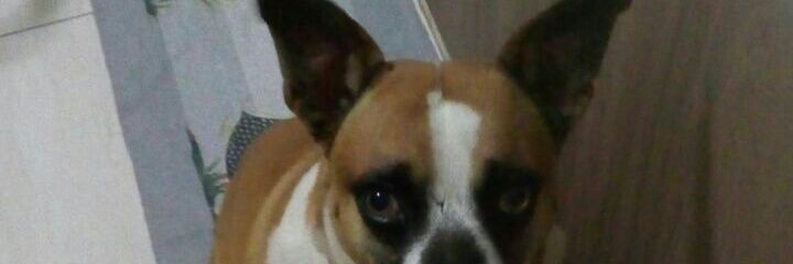 kassio_pedro's profile banner image