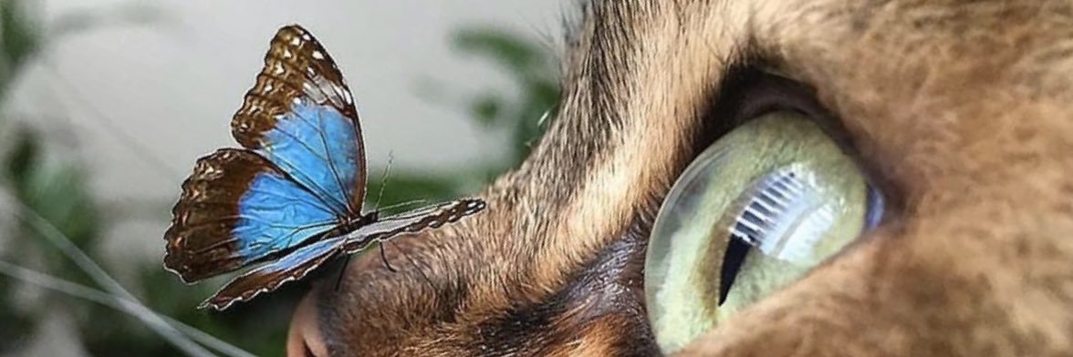 1tugbbaa's profile banner image