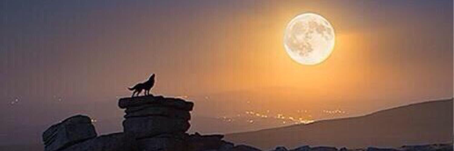 Hamod202Hamod's profile banner image