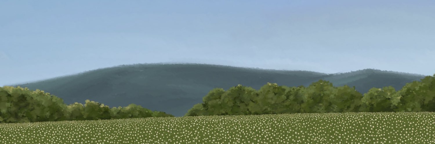 natt_wsl's profile banner image